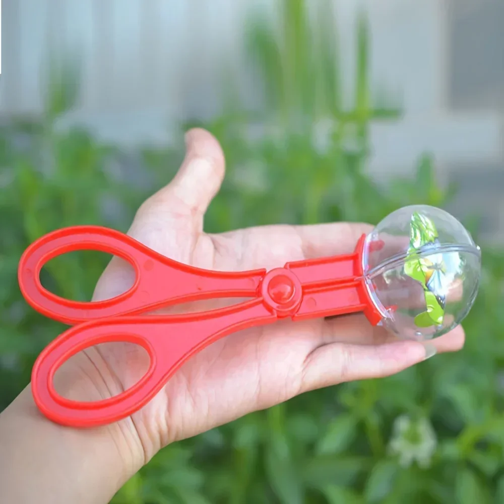Bunte Große Perlen-Insektenfan – Outdoor Adventure Games Bewertung und Preis